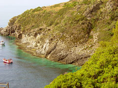 Ustica