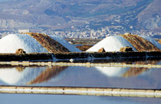 Trapani Salz